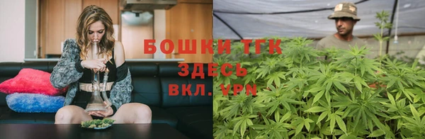 дживик Верея