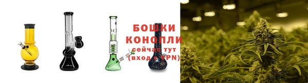 шишки Верхний Тагил