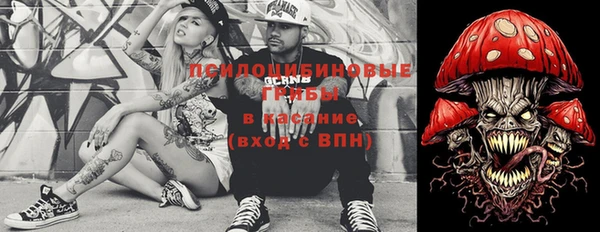 шишки Верхний Тагил