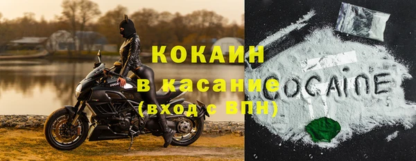 индика Осташков
