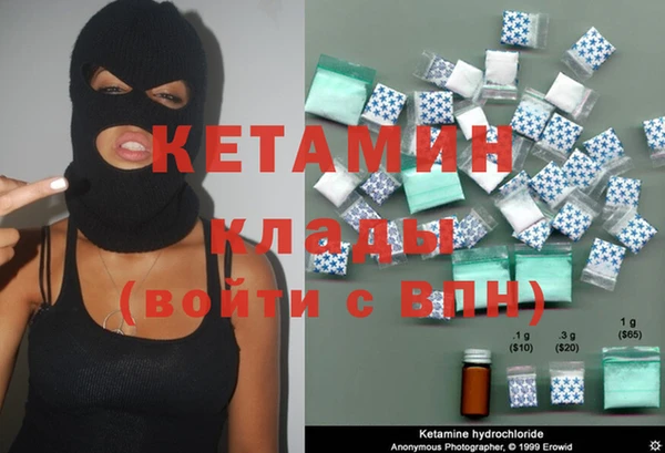 шишки Верхний Тагил