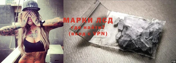 шишки Верхний Тагил