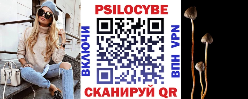 закладки  Калязин  Псилоцибиновые грибы Magic Shrooms 